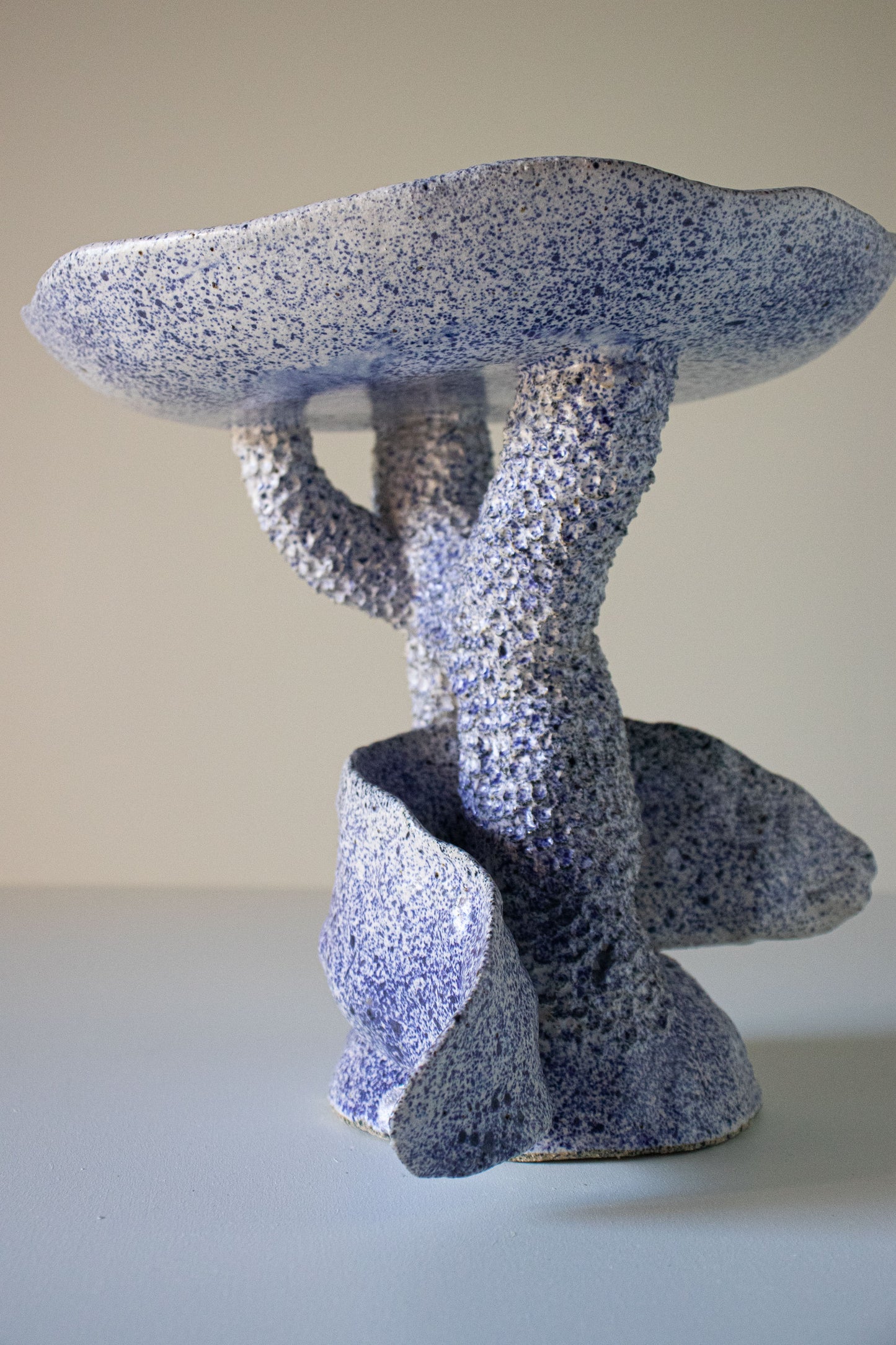 Coral Series 'Whale'