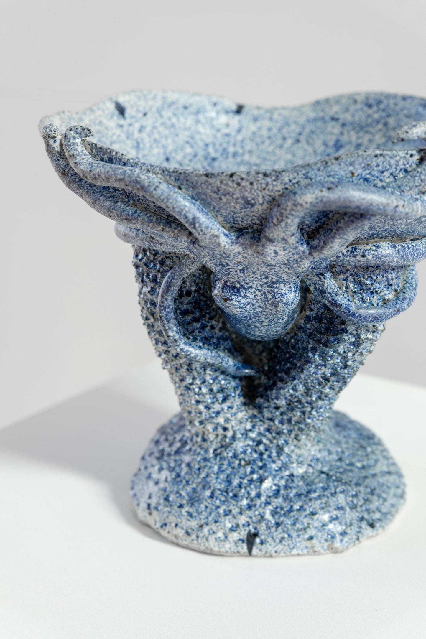 Coral Series 'Fisherman's Portrait'