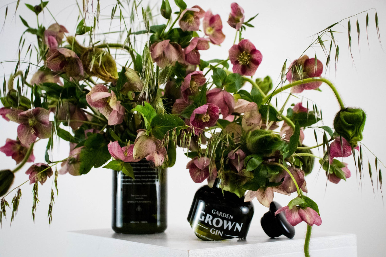 Garden_Grown_Anfisa_Gin_Editorial
